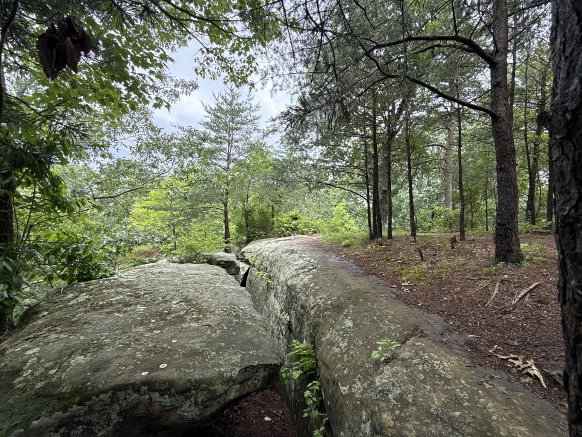 Amburgey Rock Trail featured image