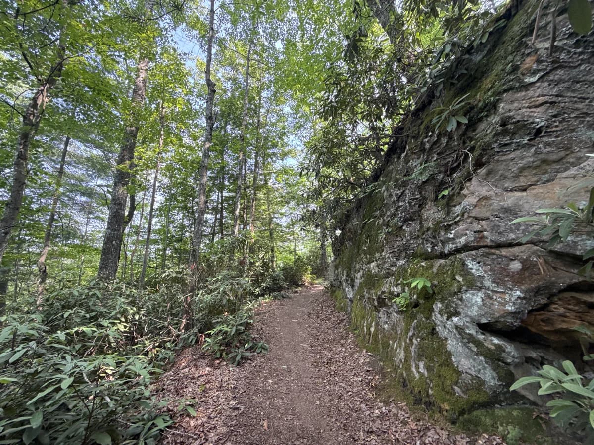 Battleship Rock Trail featured image