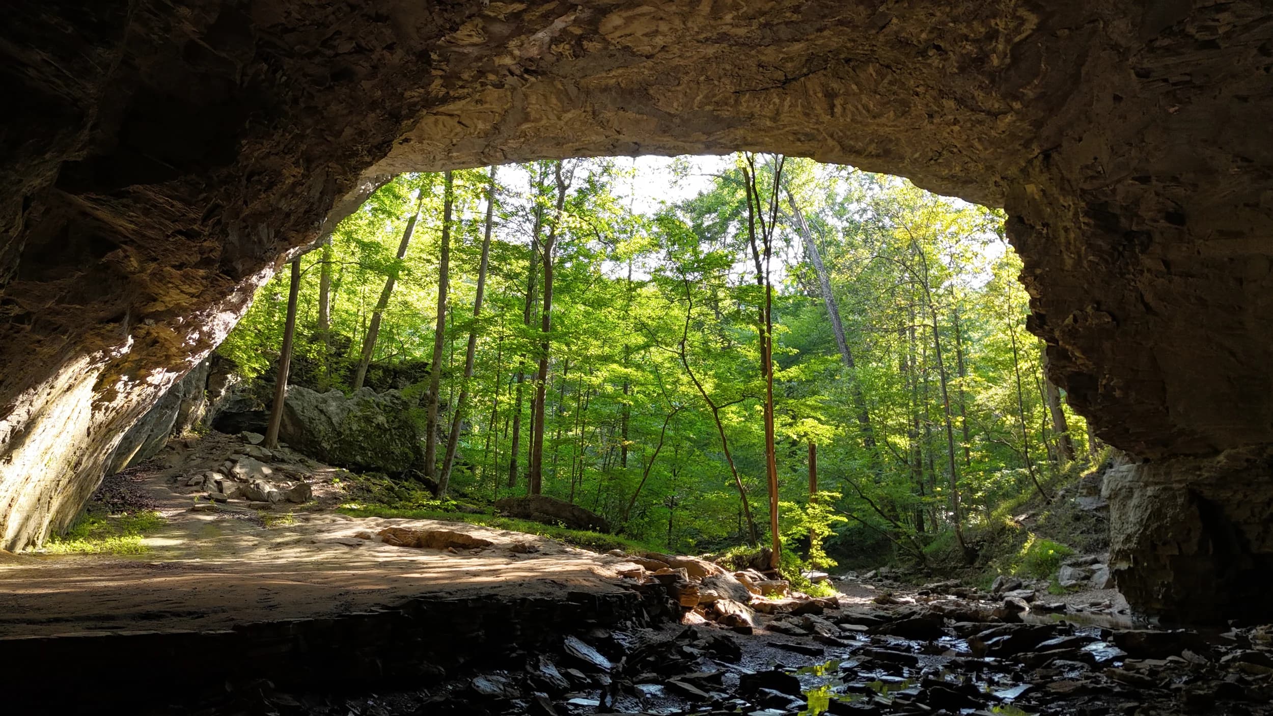 Carter Caves Natural Bridge Trail featured image