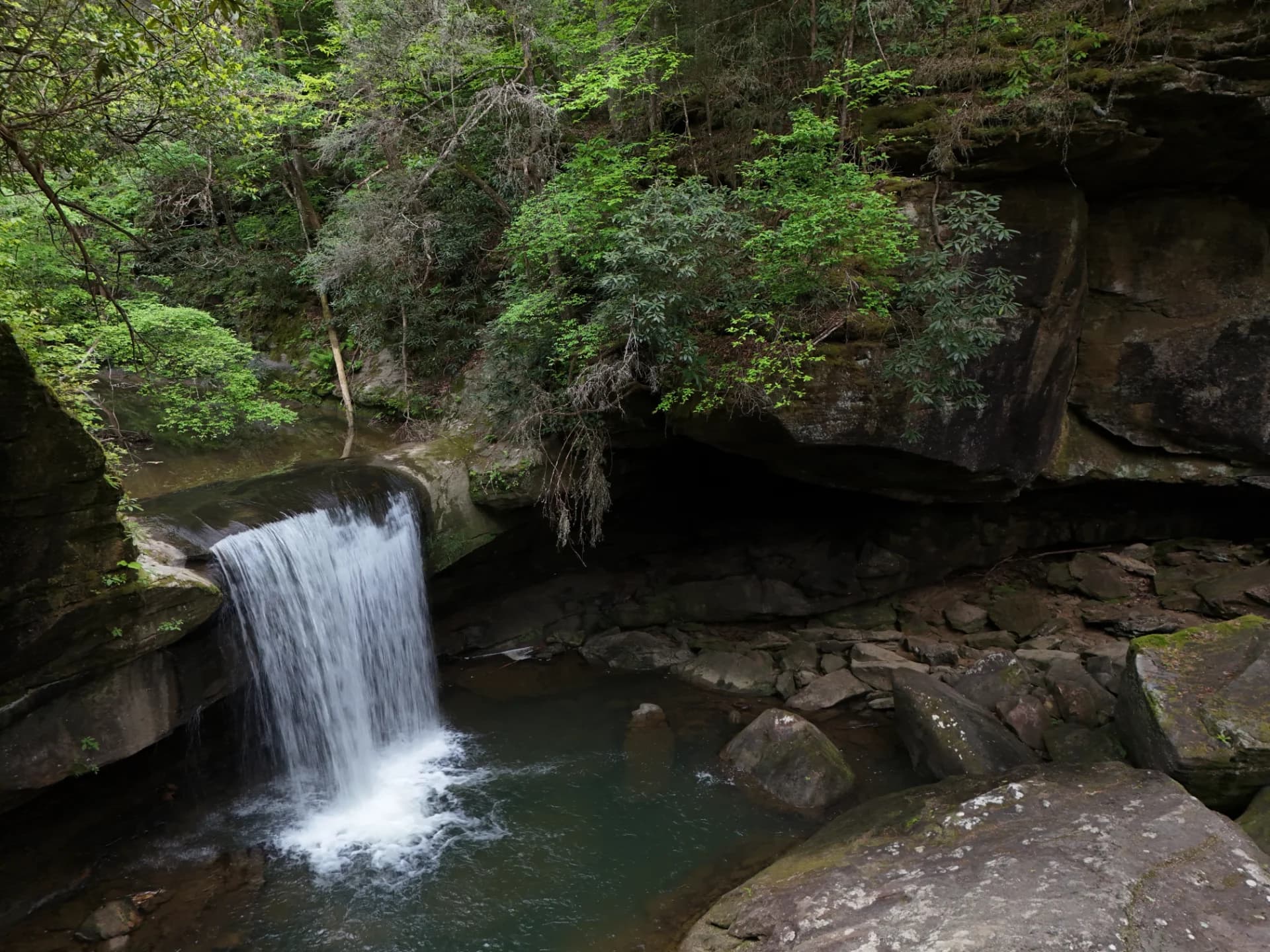 Dog Slaughter Falls Trail #414 featured image