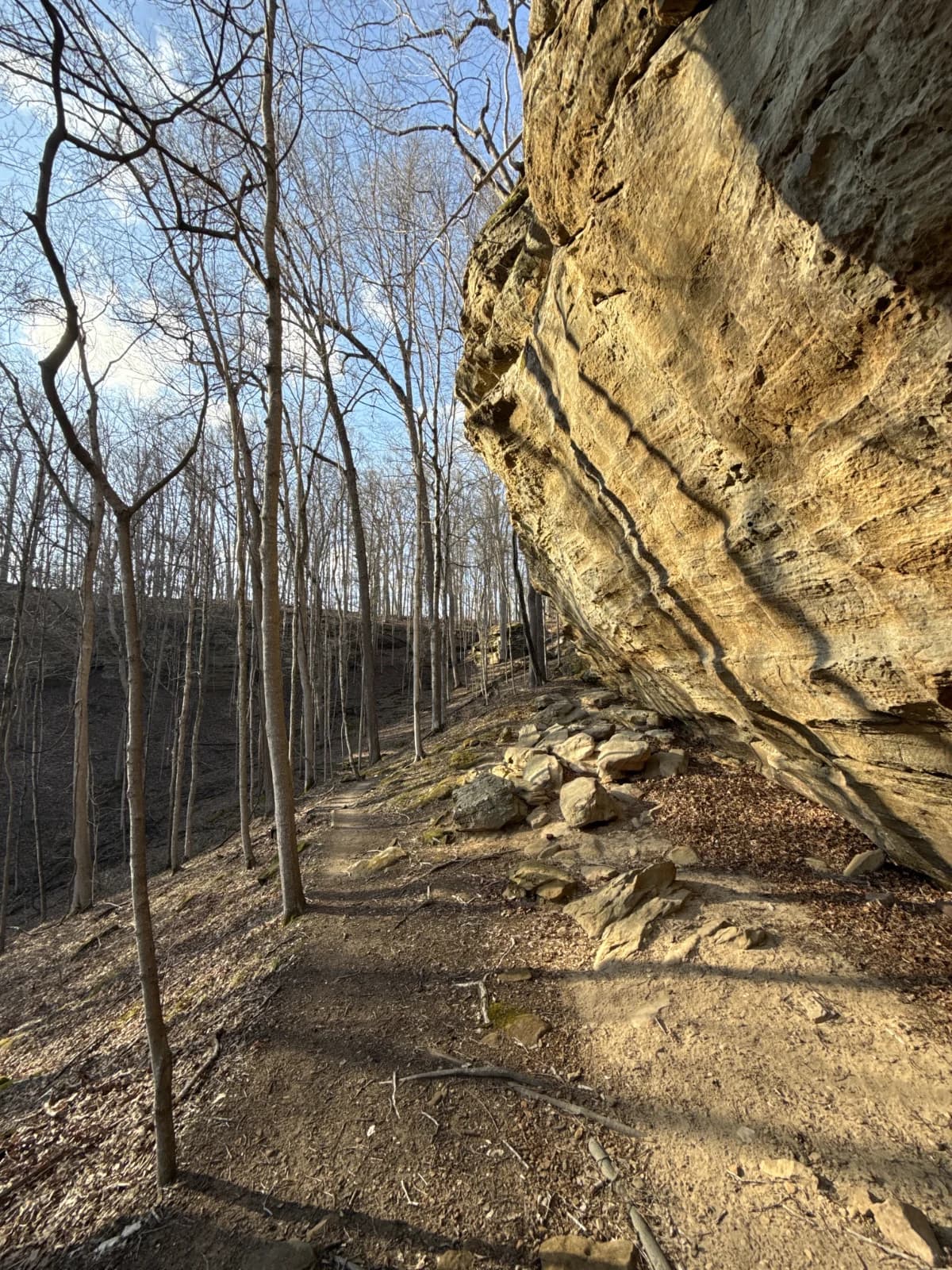 Horn Hollow Trail featured image
