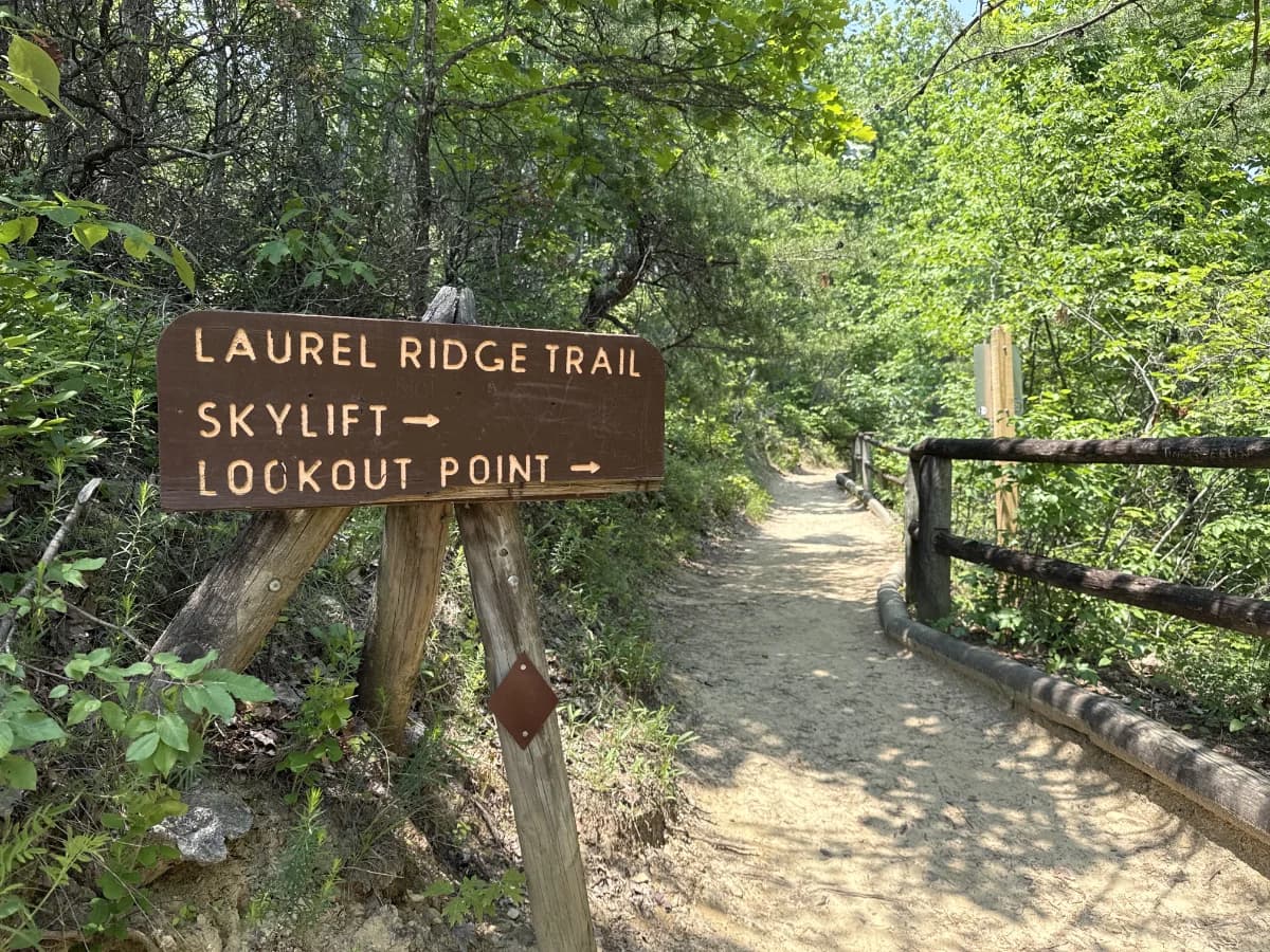 Laurel Ridge Trail featured image