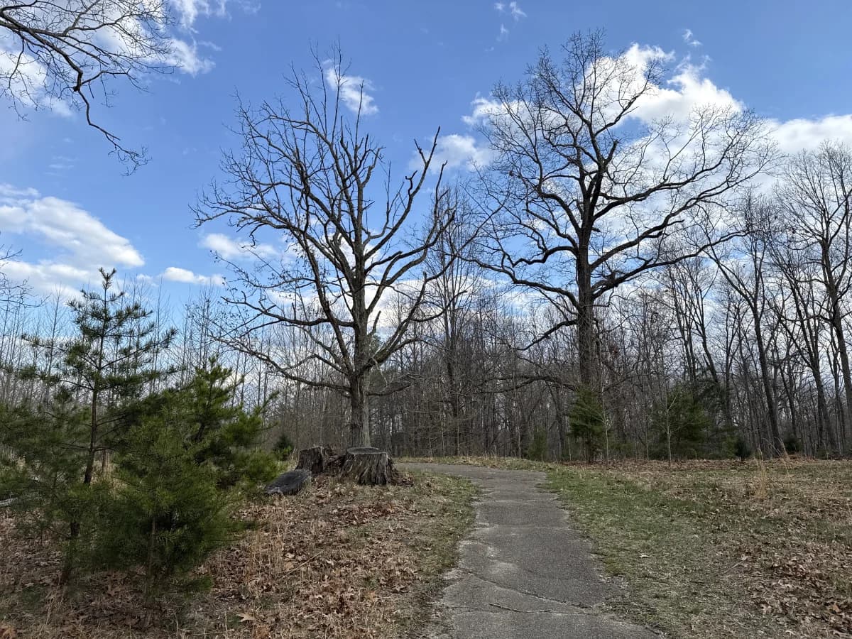 Mulligan Trail featured image