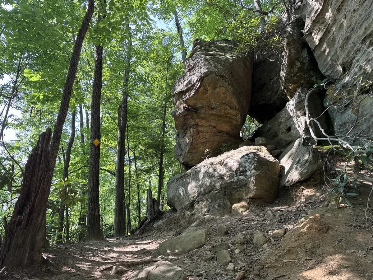 Rock Garden Trail featured image