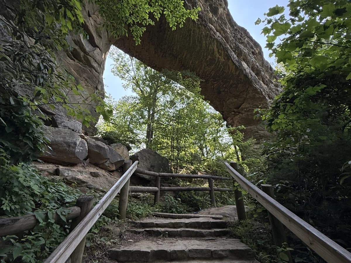 The Original Trail featured image