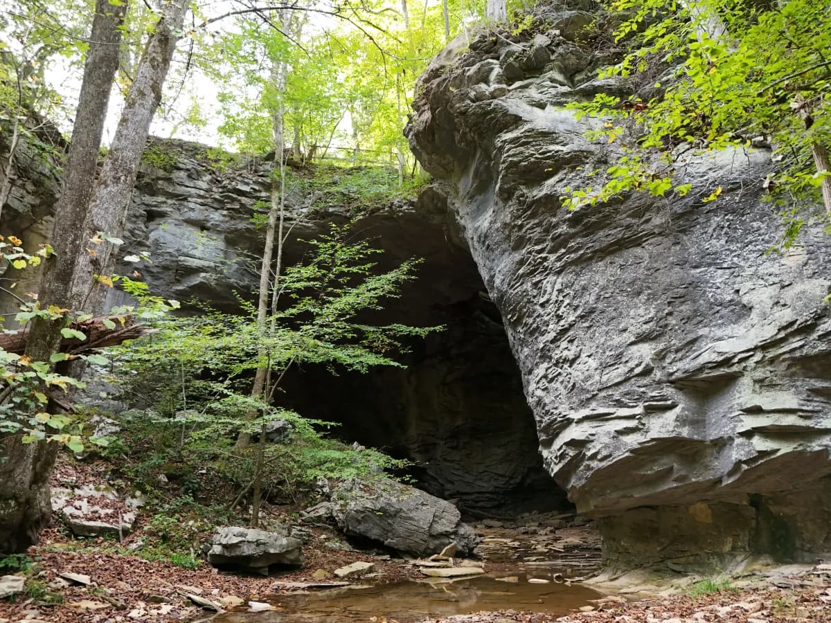 Carter Caves Natural Bridge